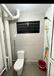 Blk 249 Yishun Sunshine (Yishun), HDB 4 Rooms #513986281